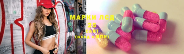 прущие крисы Кодинск