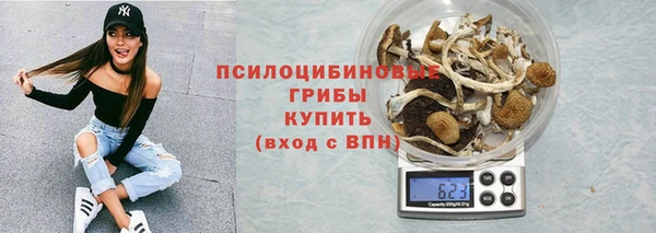 ешки Козельск