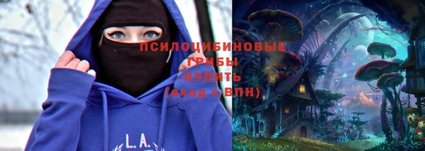 дмт Козловка